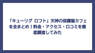 「キューリグ ロフト」天神の保護猫カフェを全まとめ！料金・アクセス・口コミを徹底調査してみた