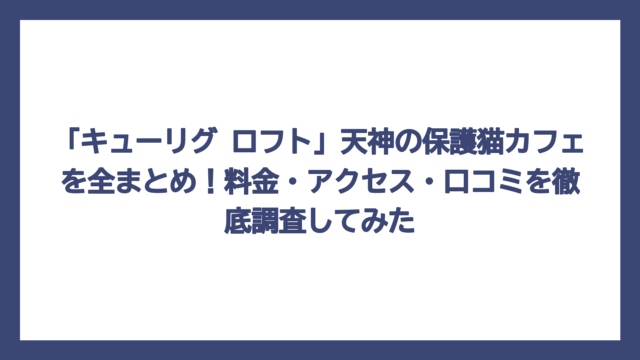 「キューリグ ロフト」天神の保護猫カフェを全まとめ！料金・アクセス・口コミを徹底調査してみた