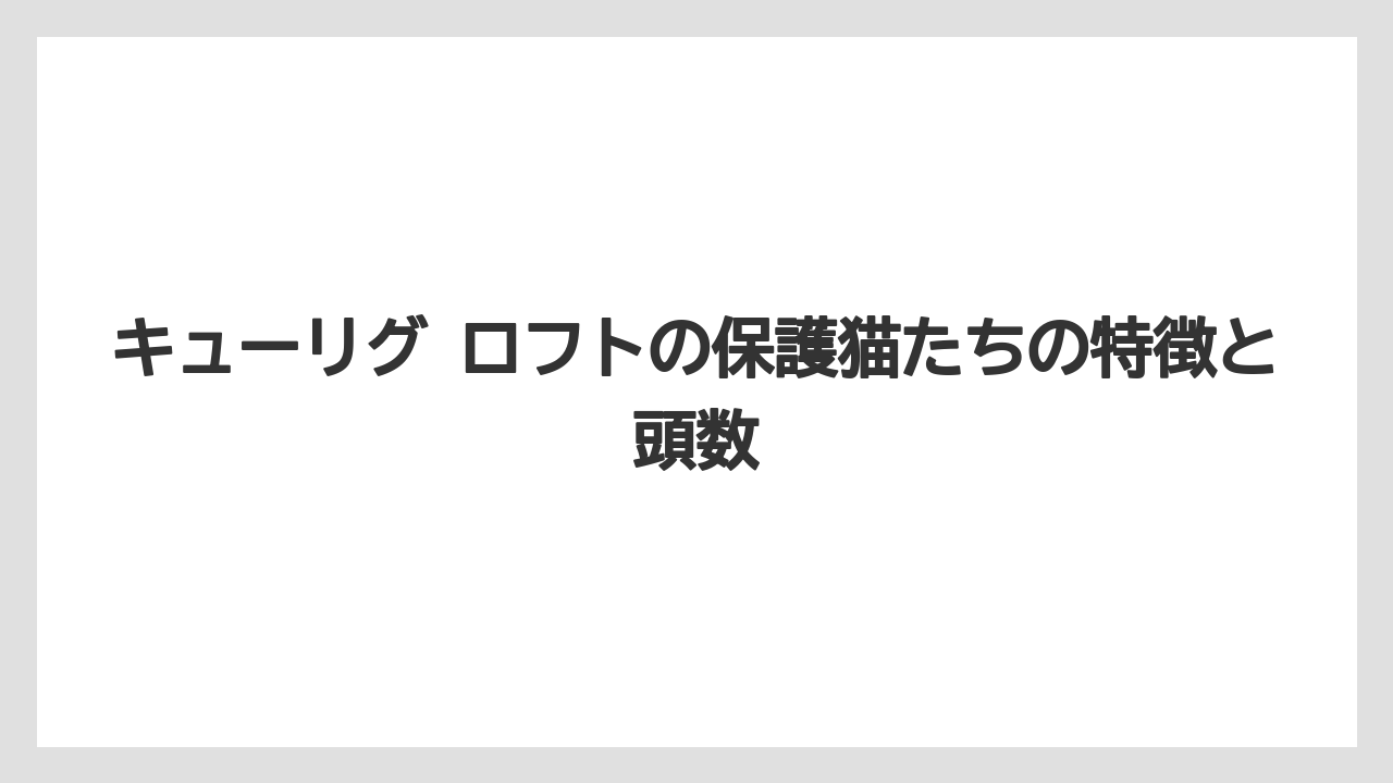 【コーヒー】【珈琲】【豆】キューリグ ロフトの保護猫たちの特徴と頭数