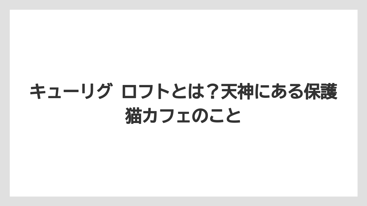 【コーヒー】【珈琲】【豆】キューリグ ロフトとは？天神にある保護猫カフェのこと