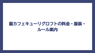 猫カフェキューリグロフトの料金・服装・ルール案内