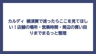 カルディ 横須賀で迷ったらここを見てほしい！店舗の場所・営業時間・周辺の買い回りまでまるっと整理