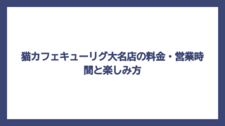 猫カフェキューリグ大名店の料金・営業時間と楽しみ方