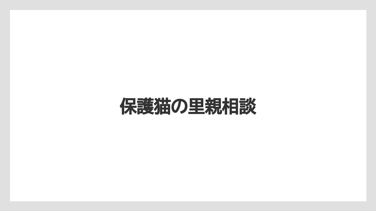 【キューリグ】保護猫の里親相談