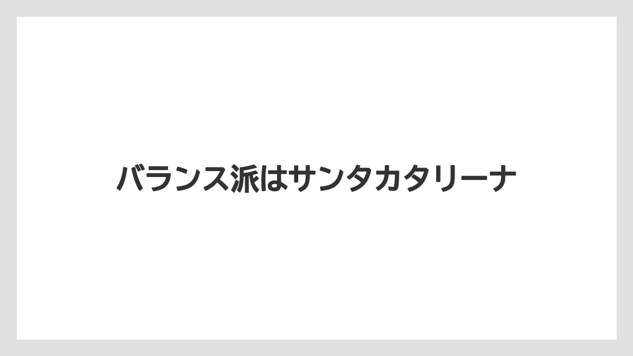 【コーヒー豆】【ミル】【堀口珈琲】【焙煎】バランス派はサンタカタリーナ