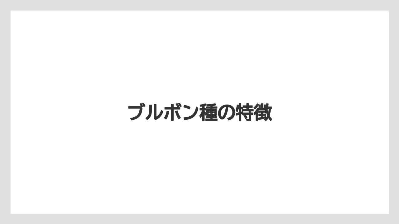 【カルディ】【コーヒー豆】【ドリップ】【ミル】【焙煎】ブルボン種の特徴
