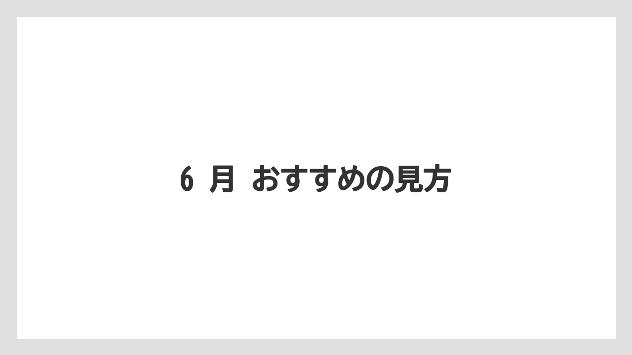 【カルディ】【コーヒー】【セール】【珈琲】6 月 おすすめの見方