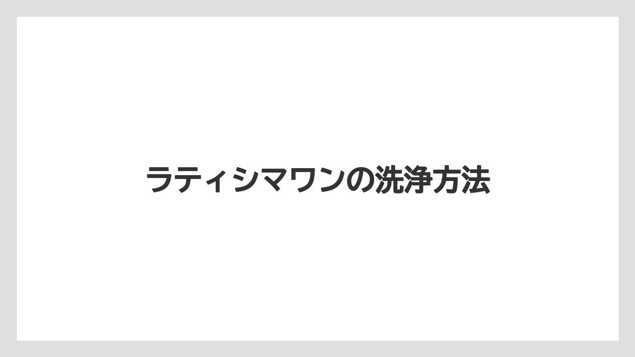 【カプセル】【コーヒーマシン】【ネスプレッソ】【ミル】【洗浄】ラティシマワンの洗浄方法