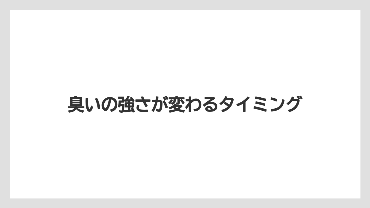 【コーヒー】【セール】【珈琲】臭いの強さが変わるタイミング
