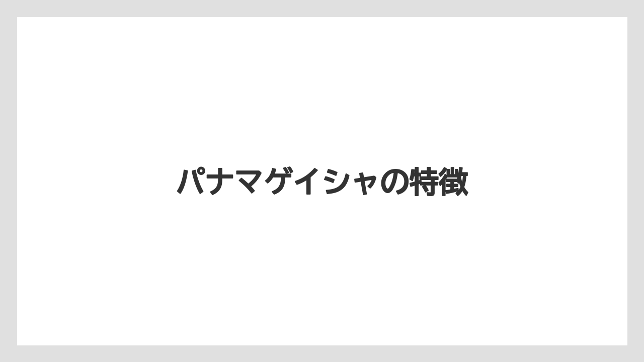 【カルディ】【コーヒー豆】【スペシャルティ】【ドリップ】【賞味期限】パナマゲイシャの特徴